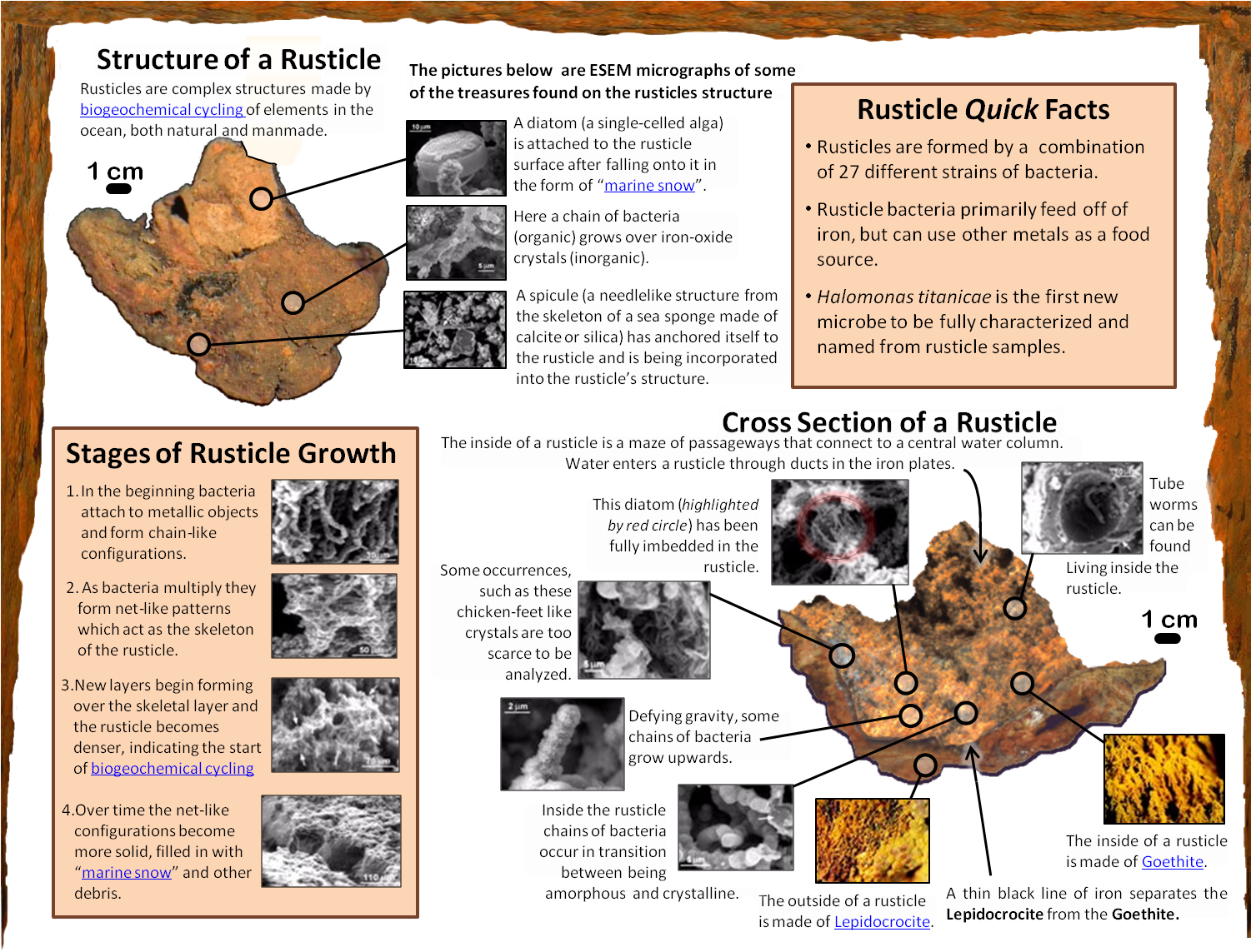 Current Research (1502x1163), Png Download