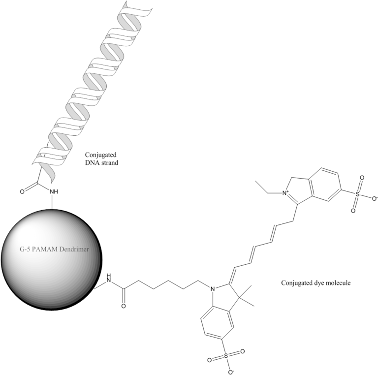 538 Gene Delivery (774x768), Png Download