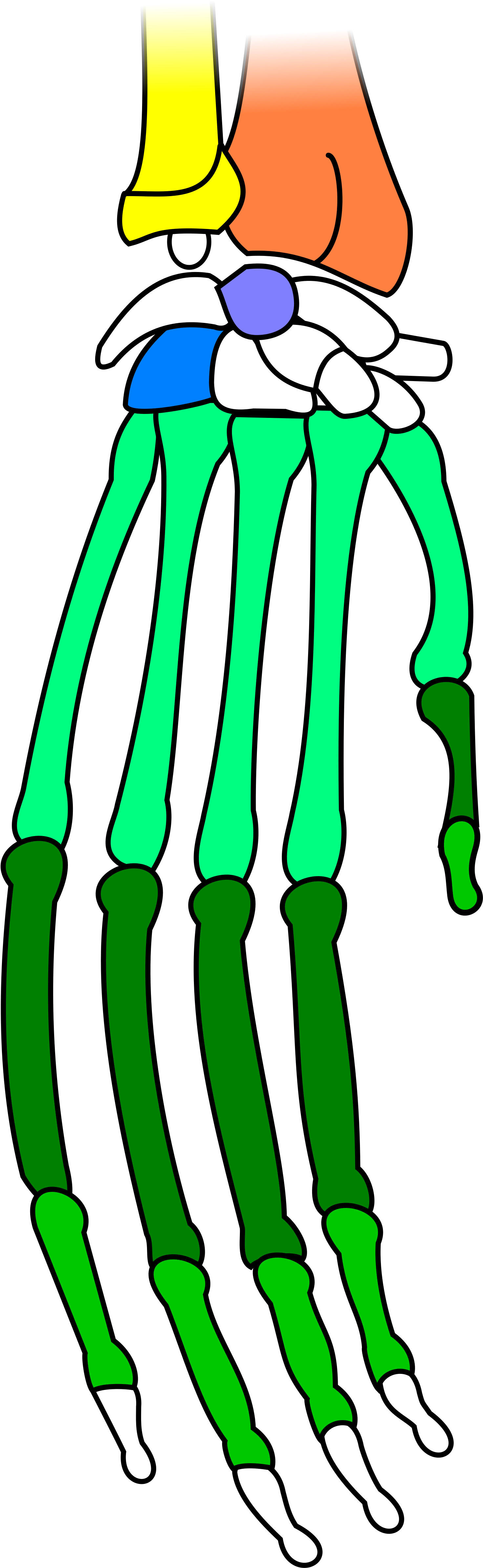 Open (2000x5141), Png Download