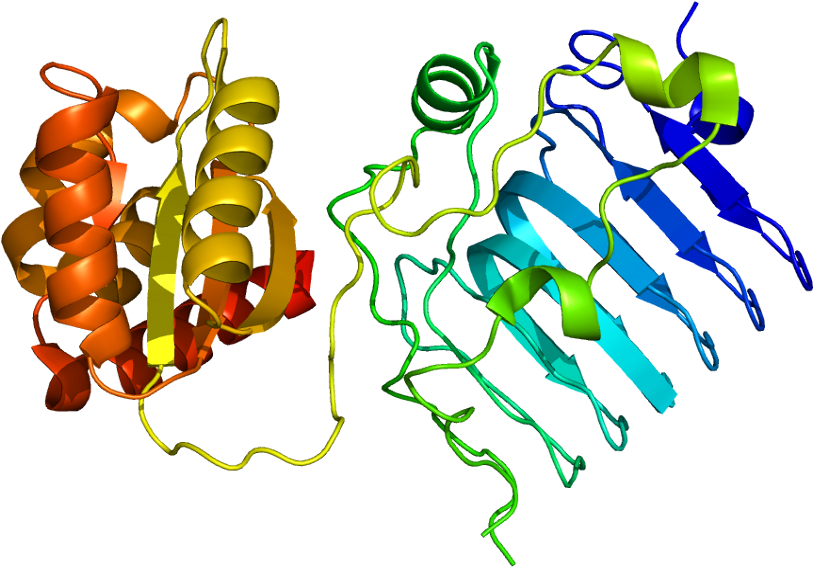 Gene Png (862x616), Png Download