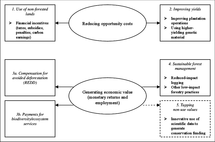 Strategies For Orangutan Conservation And Mechanisms (848x560), Png Download