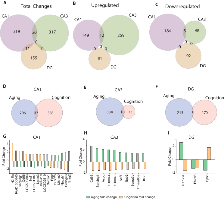 Cognitive Impairment-related Changes In Gene Expression (744x660), Png Download