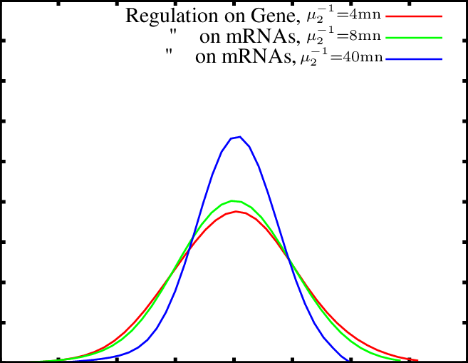 Probability Distribution Of The Number Of Proteins (657x509), Png Download