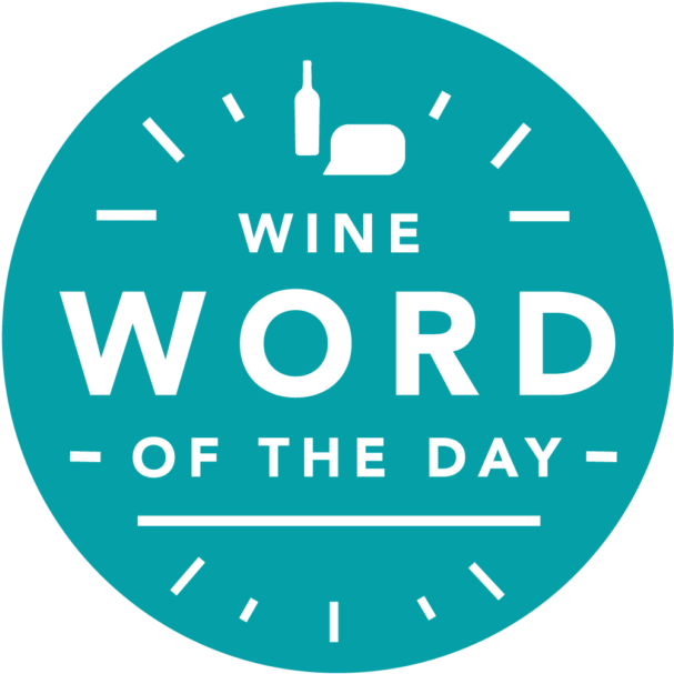 Need A Quick Refresh On Your Wine Terms Check Out Our (632x631), Png Download