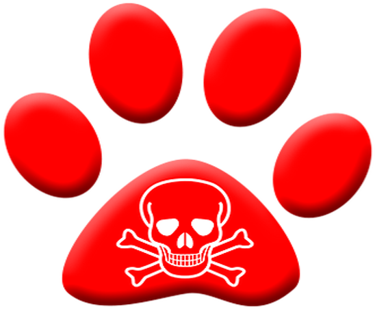 Como Actuar En Caso De Intoxicación O Envenenamiento (650x488), Png Download