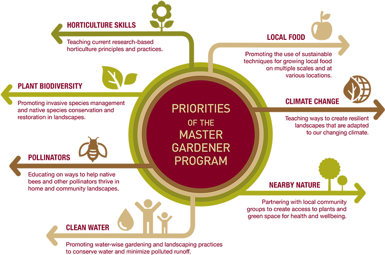 Graphic Chart Listing The Seven Priorities Of The Master (800x525), Png Download
