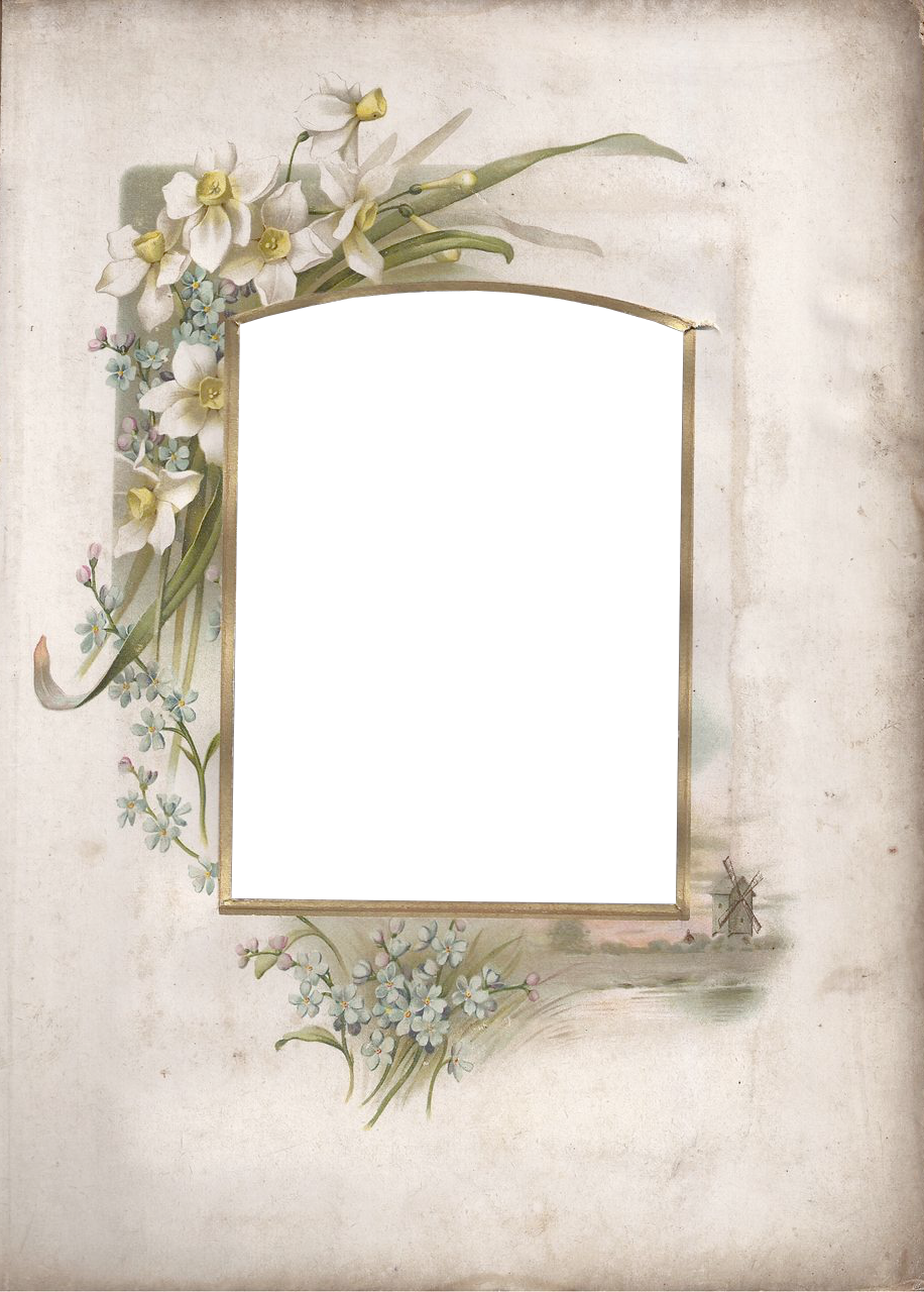 Victorian Photo Album Frame ~ Zibi Vintage Scrap (916x1280), Png Download
