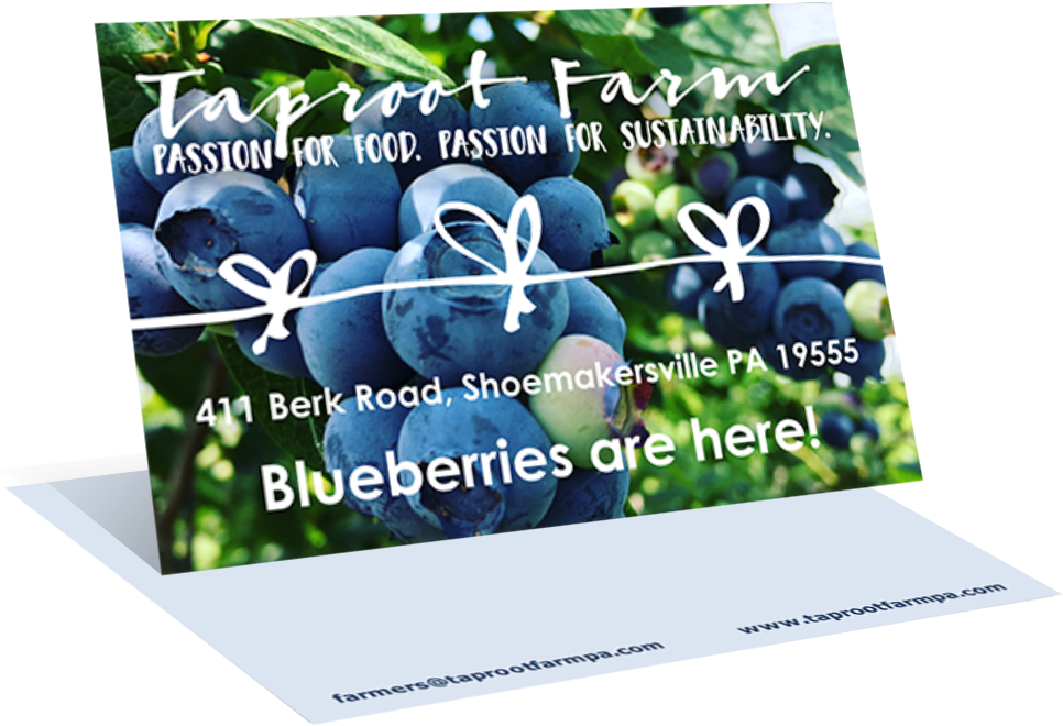 Postcards (1000x773), Png Download