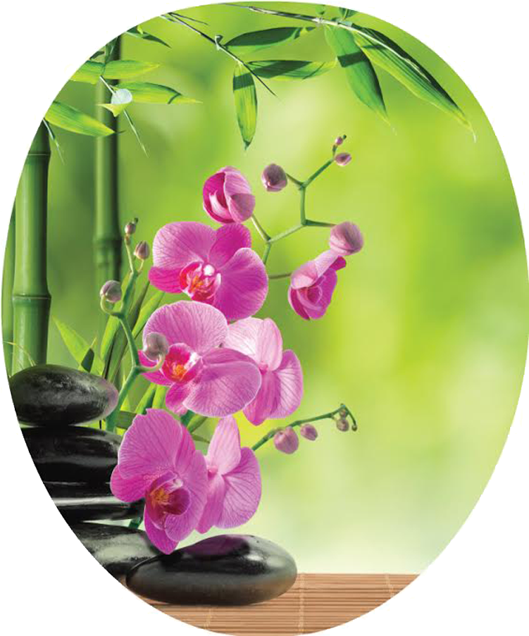 Pink Orchid Png (1000x1000), Png Download