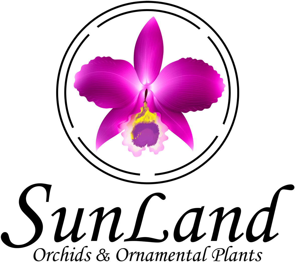 Nelturec-0 (1200x1058), Png Download
