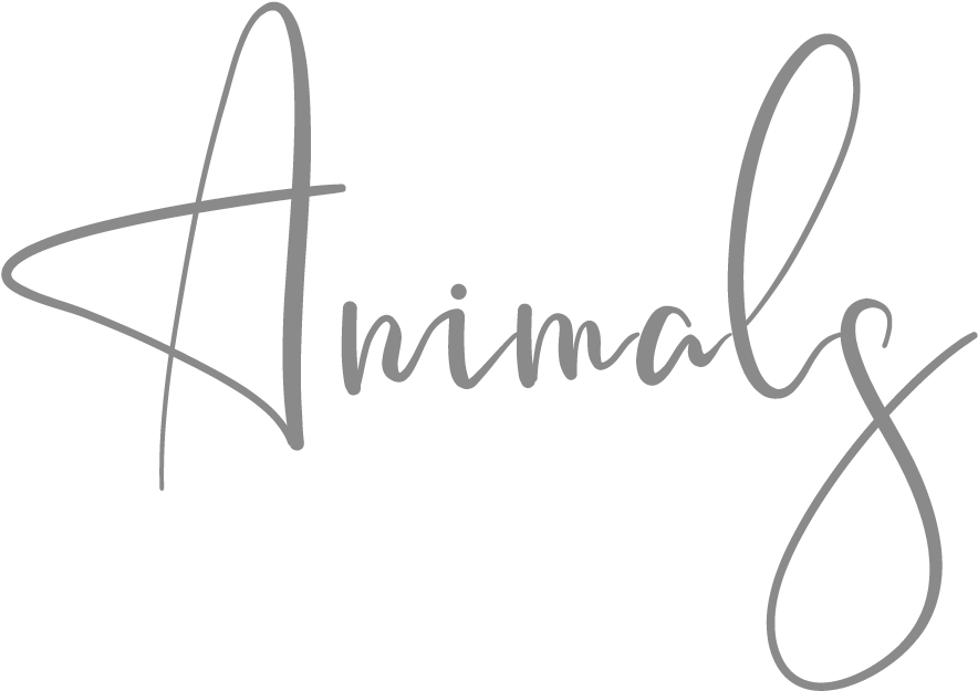 Animals-grey Mei Lin Barral Photography (972x767), Png Download