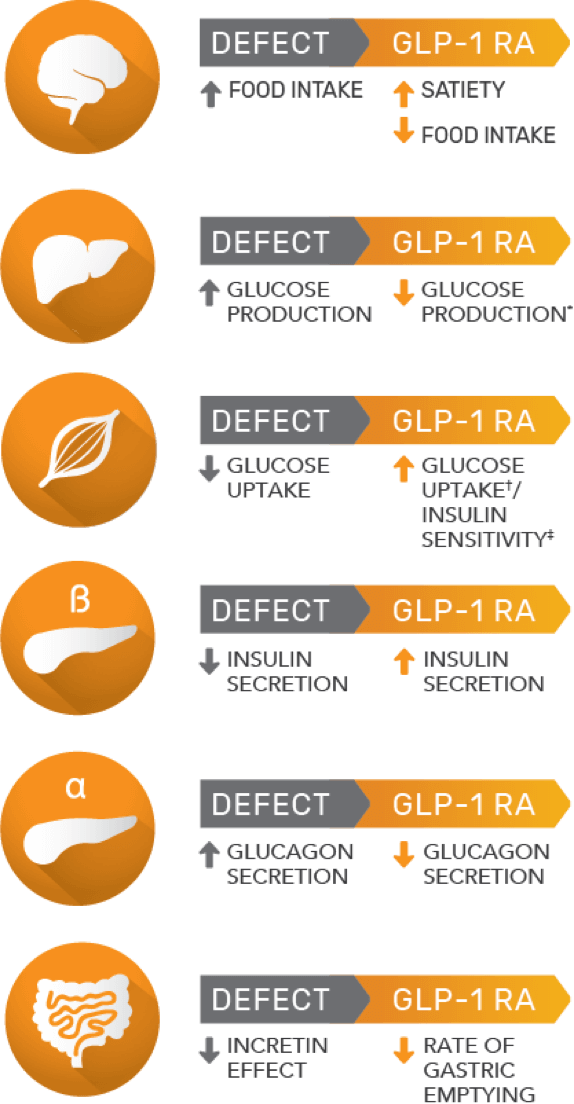 Diabetes Png (574x1104), Png Download