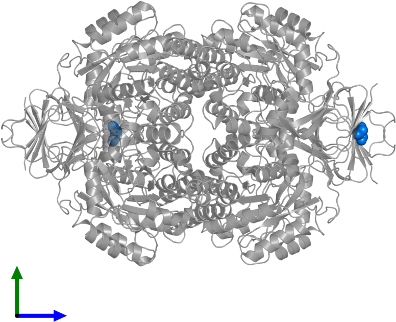 <div Class='caption-body'>pdb Entry 4b90 Contains 4 (800x800), Png Download