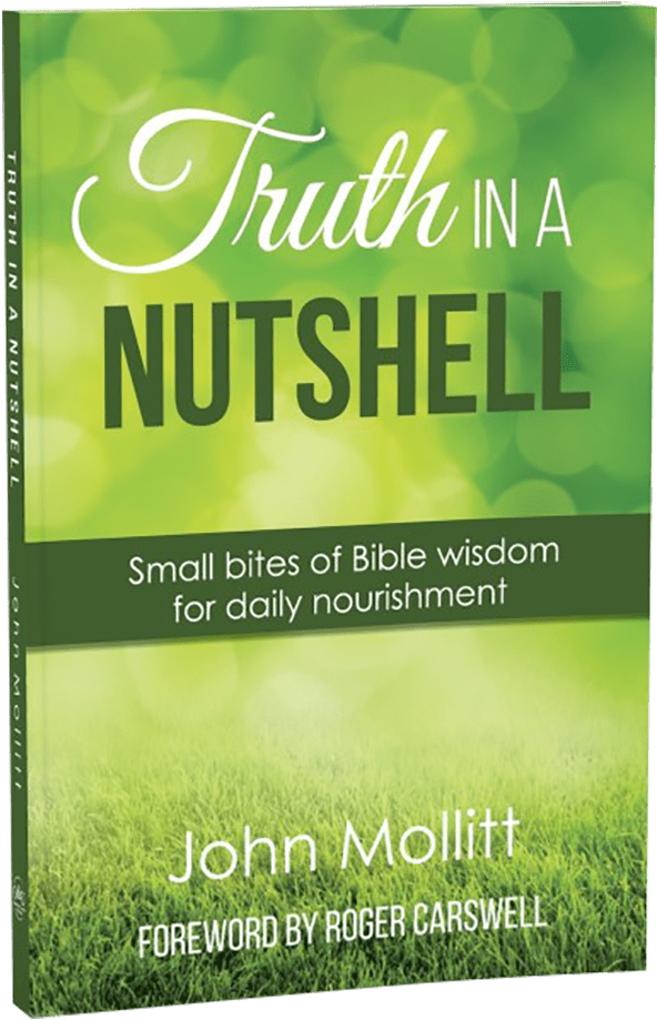 Truth In A Nutshell 3d (700x953), Png Download