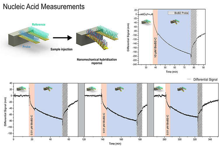 Nanomechanics Group Research Theme (1000x669), Png Download