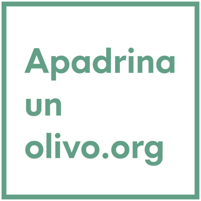Apadrinaunolivo (700x700), Png Download