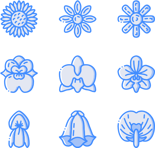 Botanicals (600x564), Png Download