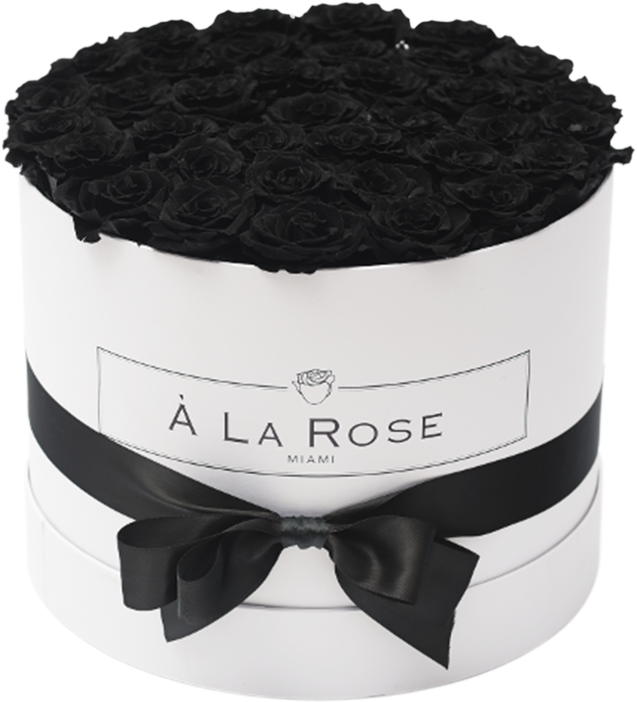 Orb Grand Black Roses (2000x2000), Png Download