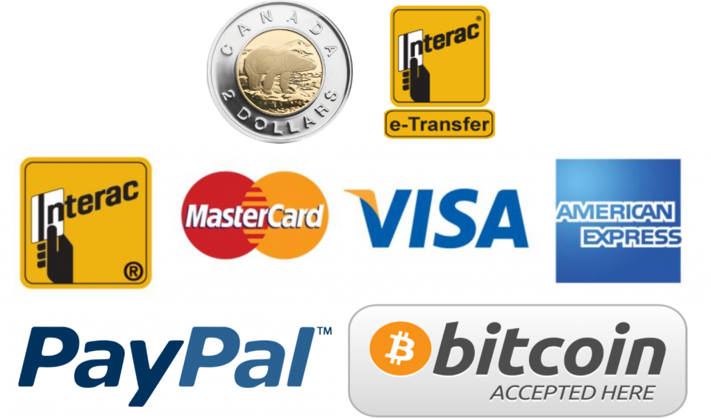 Please See Below The Steps To Take To Make Payment (1024x603), Png Download