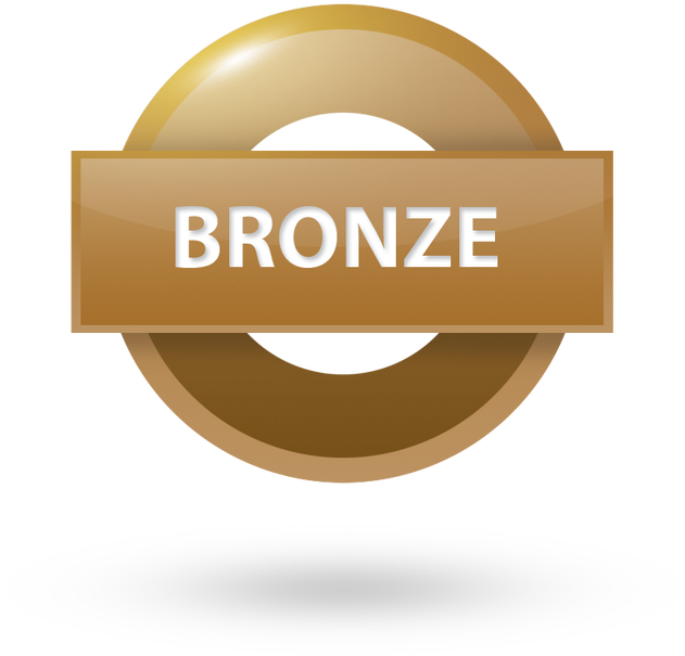 This Is Social Media Marketing Store Monthly Seo Bronze (800x800), Png Download