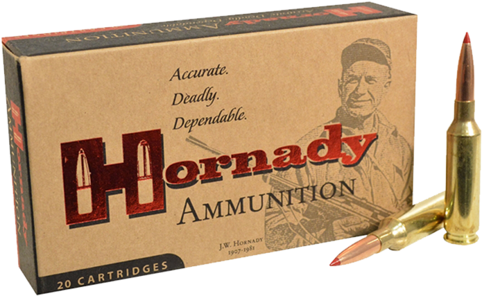 Bullet Casings Png (770x590), Png Download