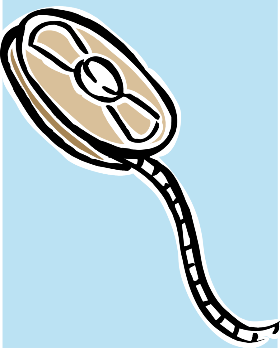 Clip Art Clipart Photographic Film Video Film Stock (900x1116), Png Download