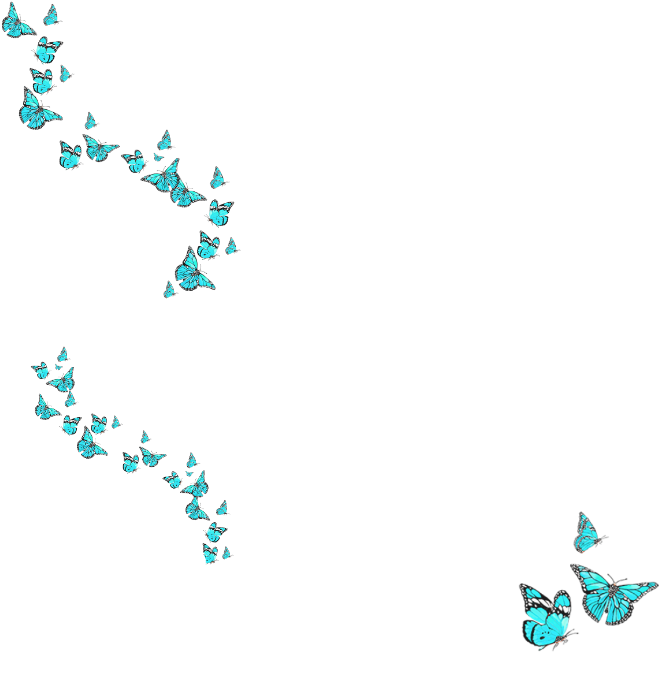 Polaroid Frame White Butterfly Butterflies Blue Spring (1024x1024), Png Download