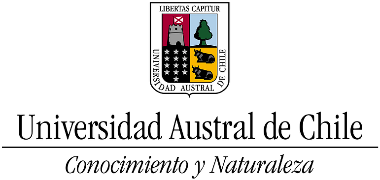 Marca-uach Png (784x486), Png Download