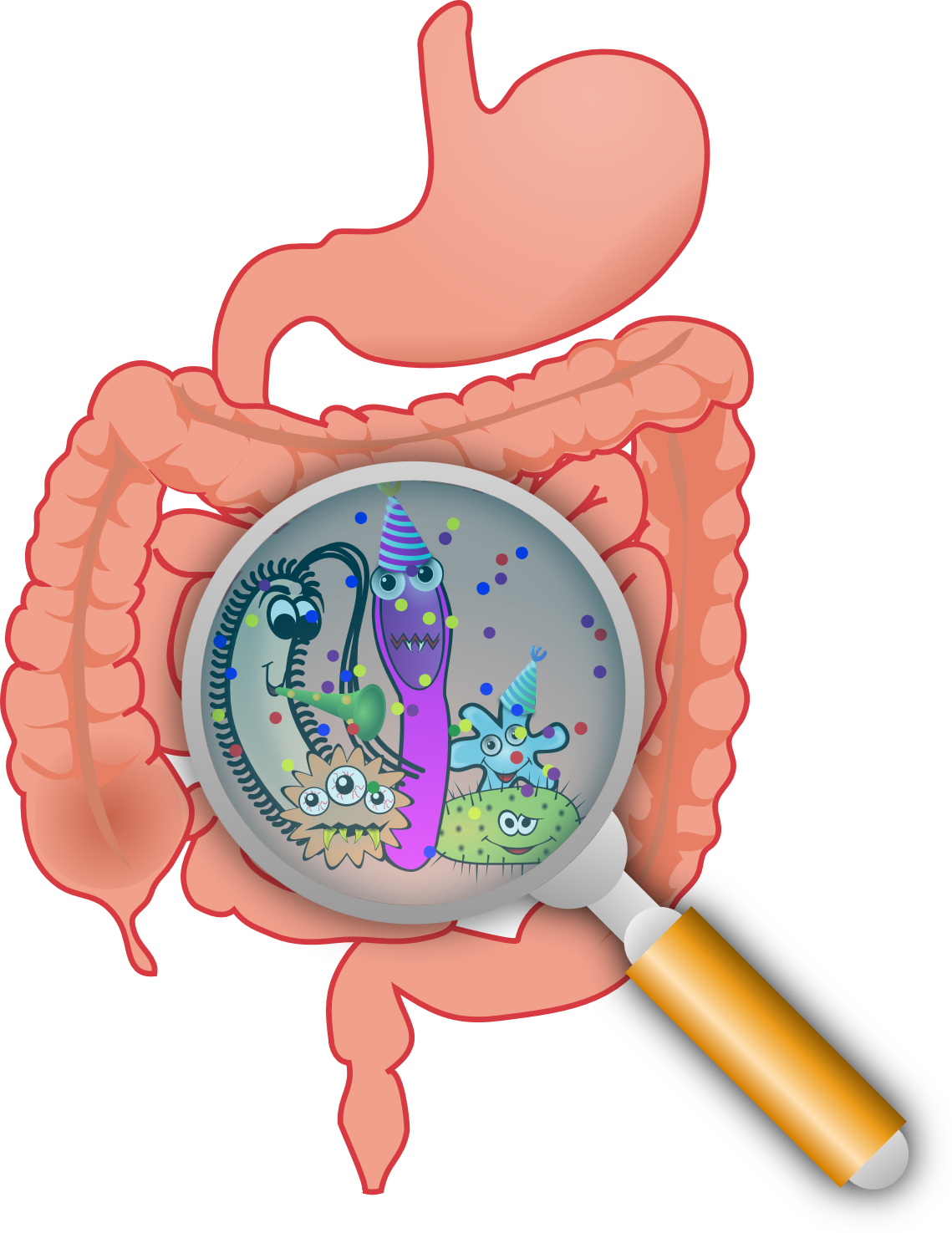 Bacteria Png Lactobacillus (1139x1475), Png Download