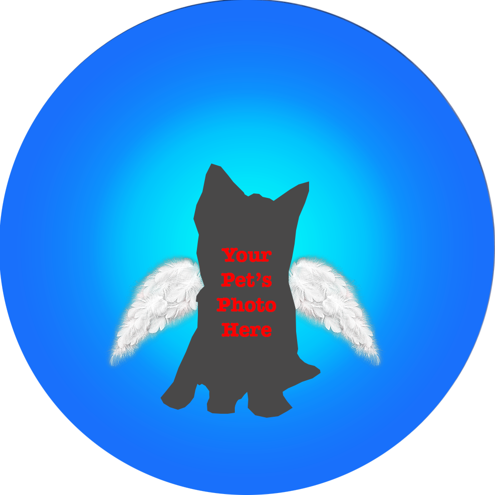 Personalised Dog Angel Ceramic Circle Ornament (993x993), Png Download