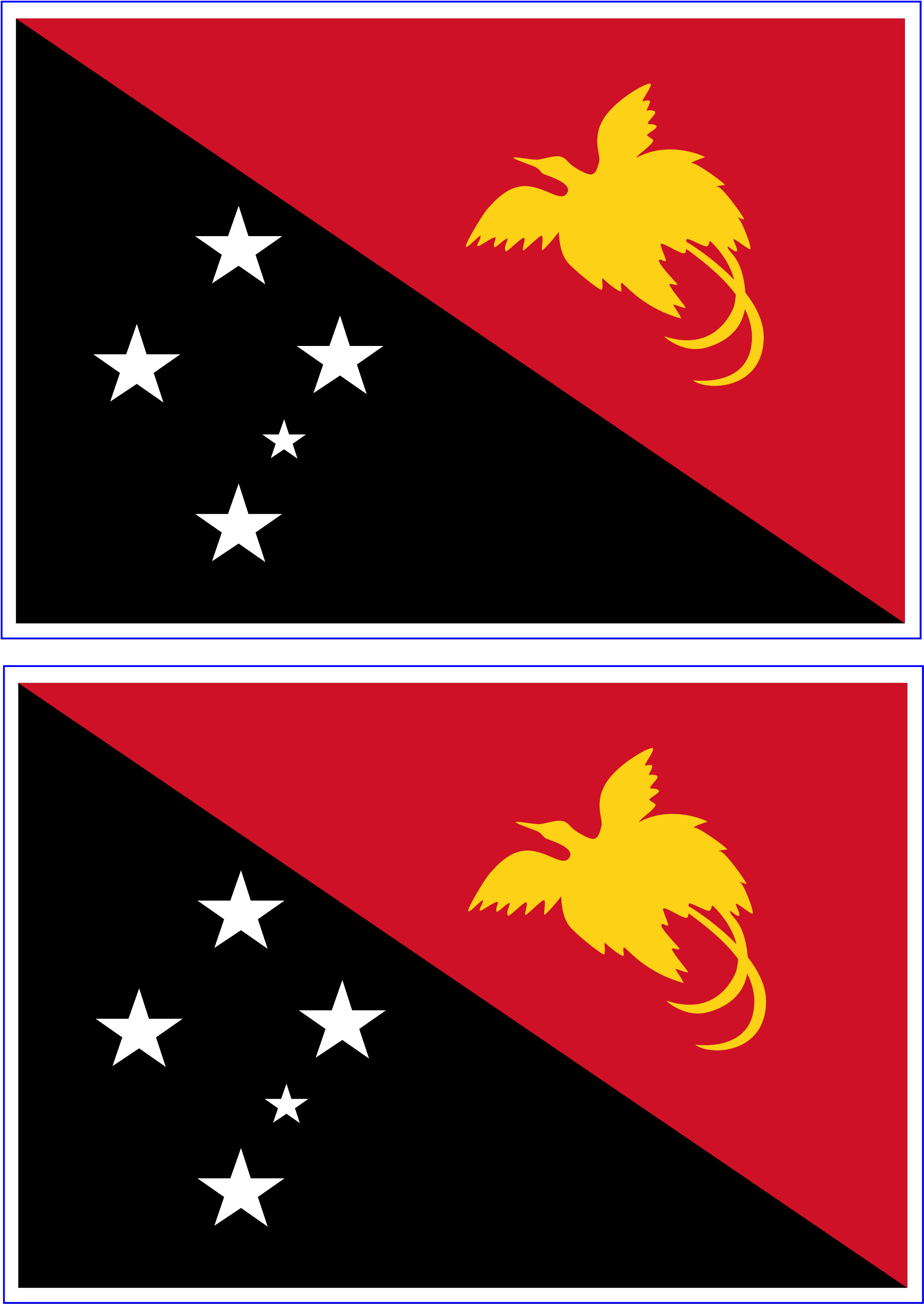 Papua New Guinea Flag Main Image (2480x3508), Png Download