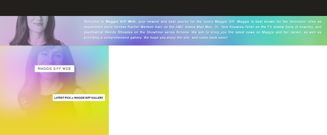 Maggie Siff To Star In 'the Short History Of The Long (1100x457), Png Download