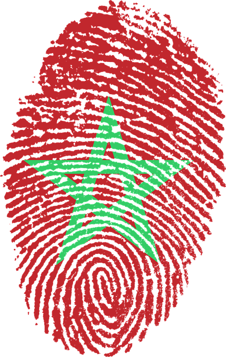 Morocco, Flag, Fingerprint, Country, Pride, Identity (455x720), Png Download
