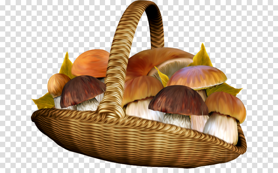 Dessin De Panier Avec Champignon Clipart Mushroom Shiitake (900x560), Png Download