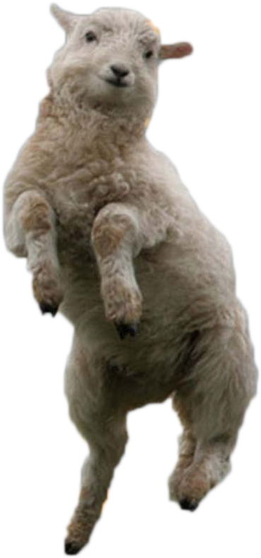 Quick Cutout (552x904), Png Download