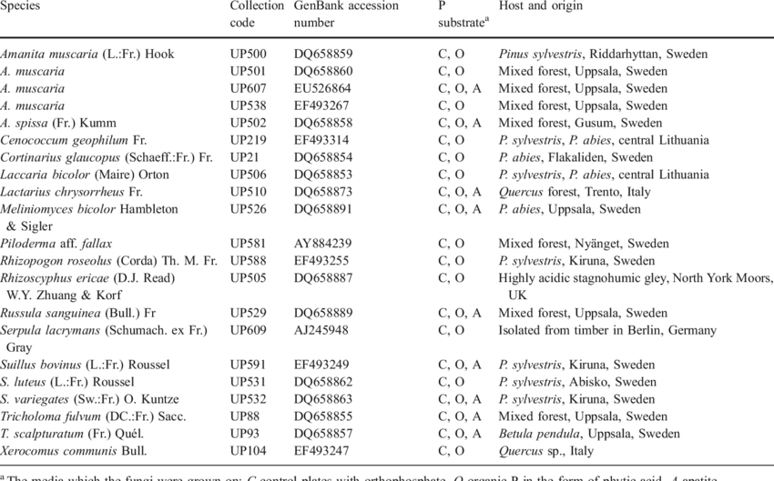 Nineteen Isolates Of Ectomycorrhizal Fungi, One Ericoid (850x529), Png Download