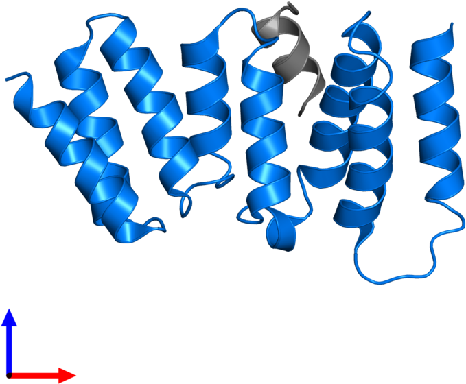 <div Class='caption-body'>pdb Entry 4a1g Contains 1 (800x800), Png Download