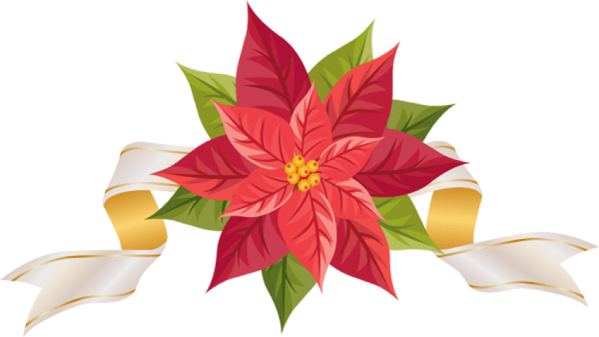 Free Png Poinsettia With Ribbon Png (850x478), Png Download