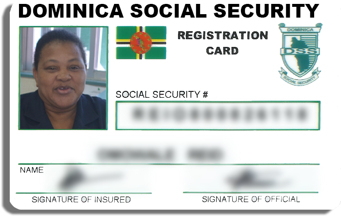 Social Security Card (734x492), Png Download