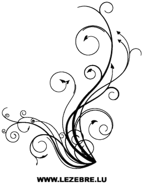 Floral Ornament Png (800x800), Png Download