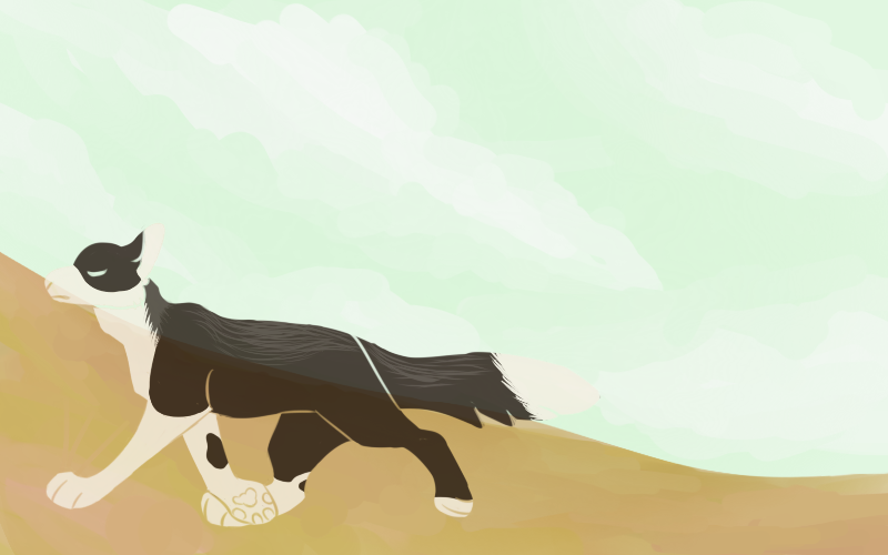 Dreaming Of Brighter Skies (800x500), Png Download