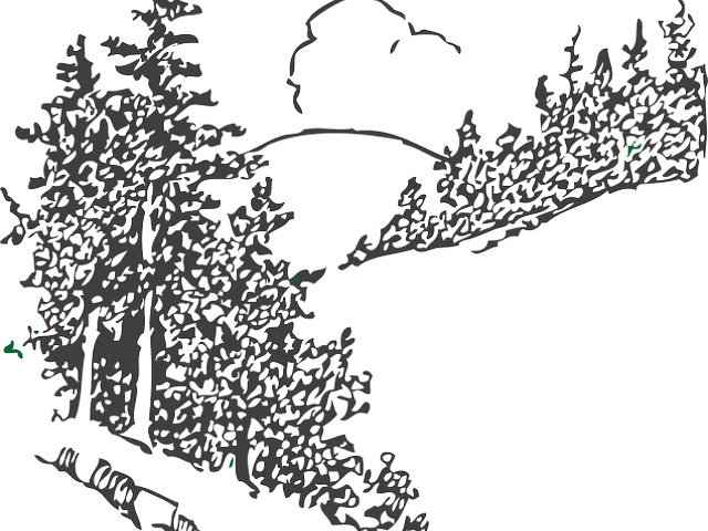 Pine Tree Clipart Scenery (640x480), Png Download