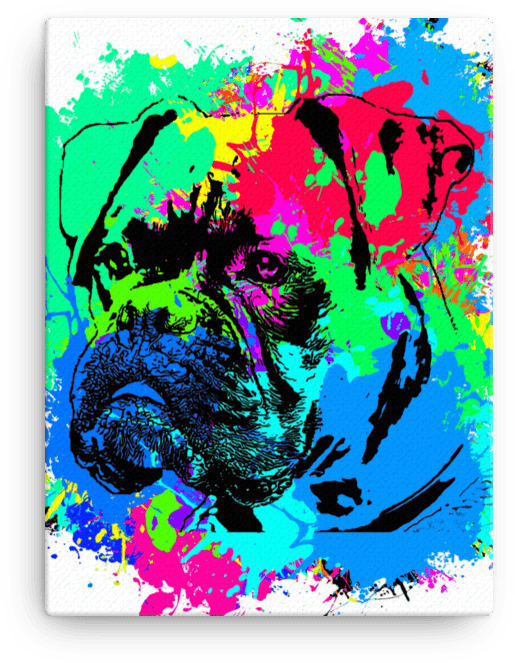 Boxer Colorful Splash Paint Canvas (1000x1000), Png Download