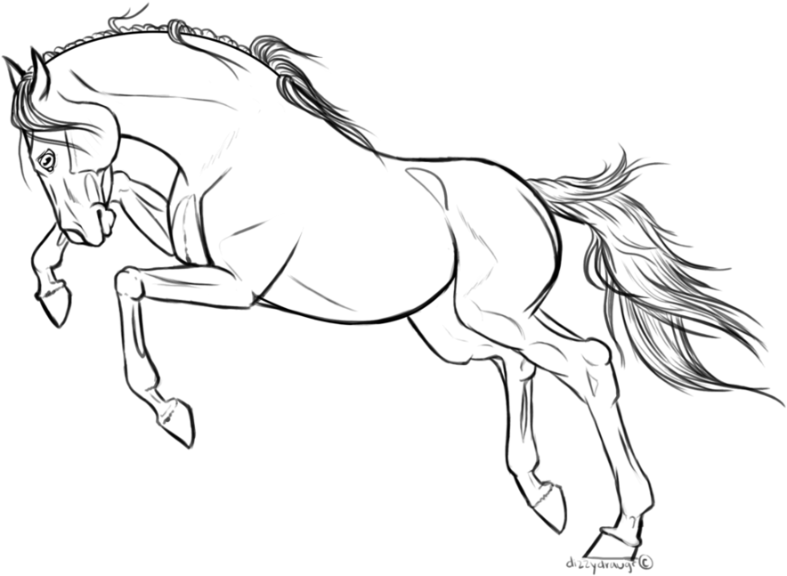 Horse Lineart (937x852), Png Download