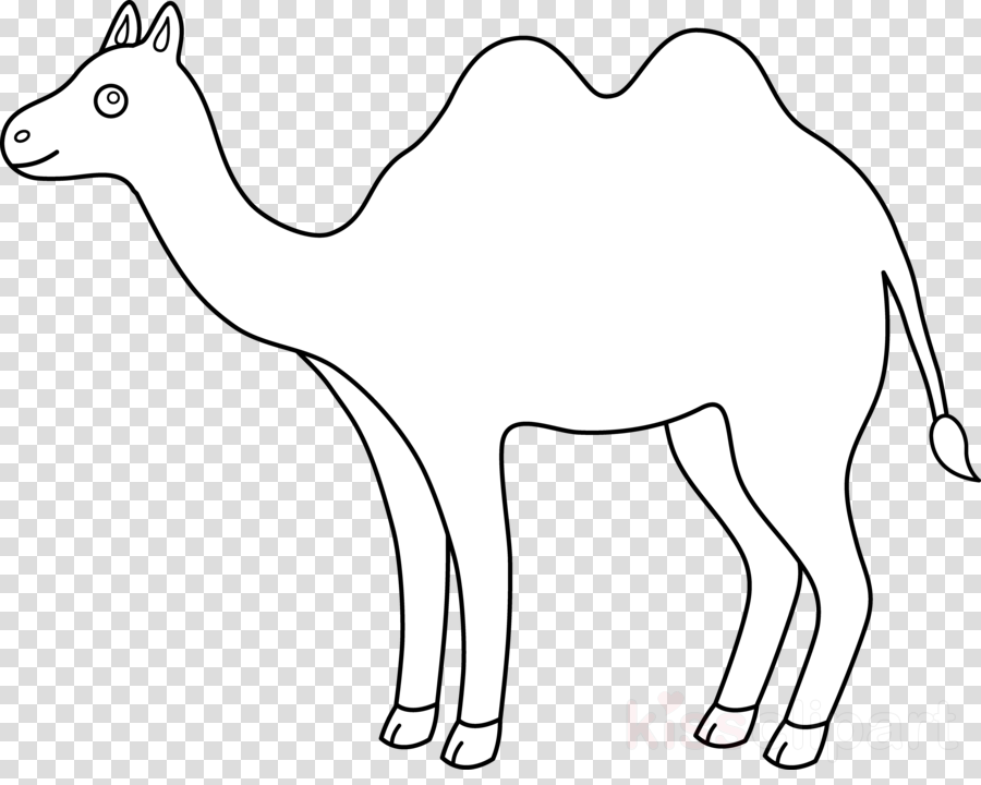 Lineart Png (900x720), Png Download