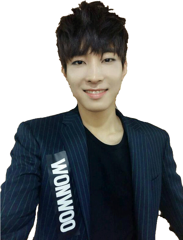 Wonwoo Seventeen Png (600x800), Png Download