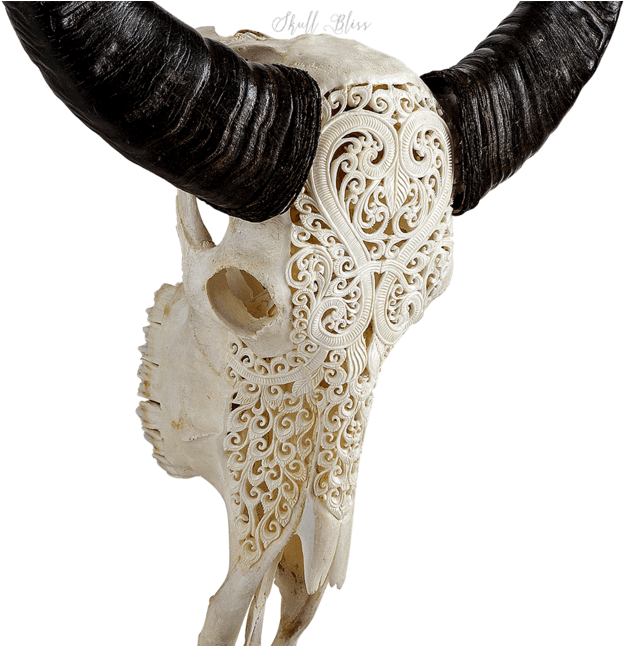 Carved Buffalo Skull (645x645), Png Download