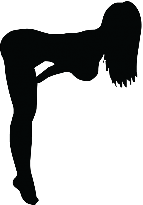 Silhouette Femme Sexy 11 (487x700), Png Download