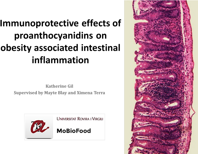 Immunoprotective Effects Of Proanthocyanidins On Obesity (700x523), Png Download