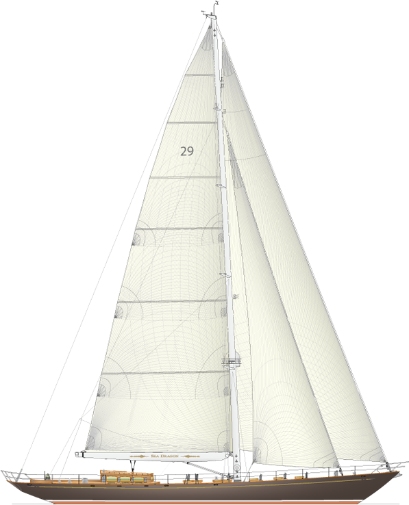 Sea Dragon (596x770), Png Download